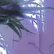 Oxblood: Teenage Crush IV (feat. Korallreven) - Single