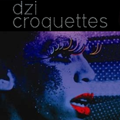 Dzi Croquettes