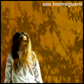 Oso Hormiguero