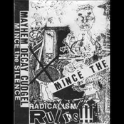 Mince The Silence
