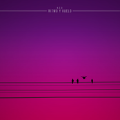 Ritmo y Vuelo