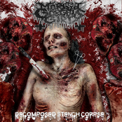 Decomposed Stench Corpse