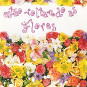 Estão Voltando as Flores