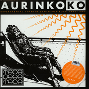 Aurinkoko / Experimental Finnish Synth-Pop-Rock (1982 - 1985)