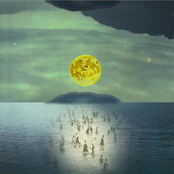 Wandering in the forests of the ocean