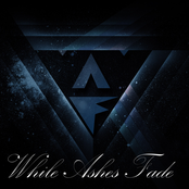 While Ashes Fade