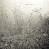 IRREVERSIBILITY vol​.​1