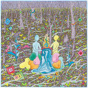 Mamazonia : Odes to the Forest - Vol​.​2