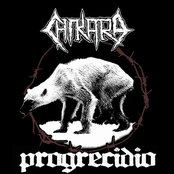 Chikara / Progrecidio