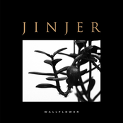 Wallflower cover