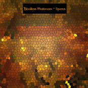 Spores