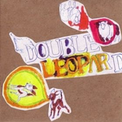 Mirror Sensations by Double Leopards