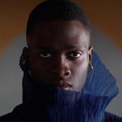 Não Vou Mais Me Calar