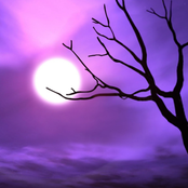 Solitary [Single]