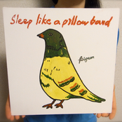 Sleep Like A Pillow Band