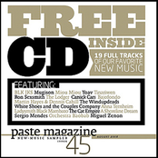 Paste Magazine Sampler 45