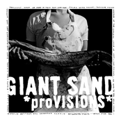 Belly Full Of Fire by Giant Sand