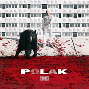 PLK: Polak