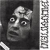 bizarre x / packratten