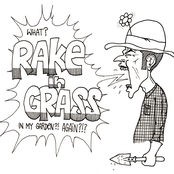 rake in grass