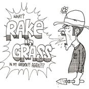 Rake In Grass