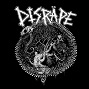 Disräpe