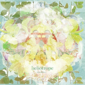 Heliotrope: 大丈夫、君なら。