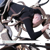 Become Objects Of Daily Use