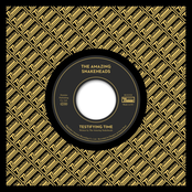 Testifying Time / The Truth Serum