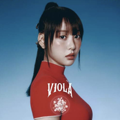 Viola
