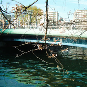 Dancing Lights - Single