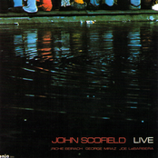 Gray And Visceral by John Scofield
