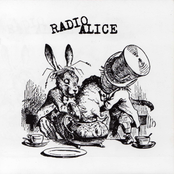 radio alice