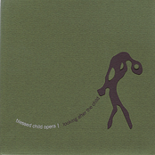 Looking After The Child