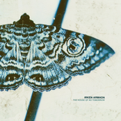 The House of No Tomorrow