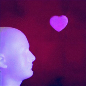 Stay (Why Won't You?)