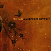A Murder of Crows