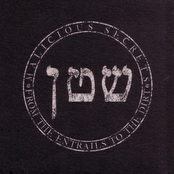 From The Entrails To The Dirt