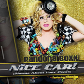 Nice Car! (Shame About Your Penis) [feat. Shango] - Single