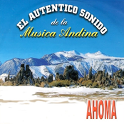 El Autentico Sonido de la Musica Andina