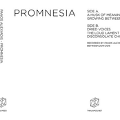 Promnesia