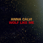 Wolf Like Me cover