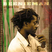 Heights Of Great Men by Beenie Man