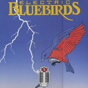 Electric Bluebirds