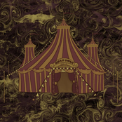 Bear Tent