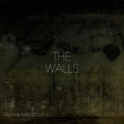 The Walls