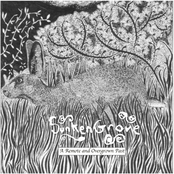 A Remote and Overgrown Past