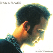 Notes Of Tenderness by Venus In Flames
