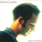 Better Man by Venus In Flames