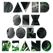 Solo Piano - In The Rosewood Forrest